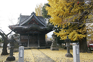 ��t���i�s�w�蕶�����j